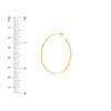 41.50mm x 31.50mm Thin Oval Post Hoop Earrings