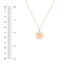 Capricorn Organic Disc Pendant Necklace