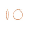 2mm x 25mm Polished Hoop Earrings