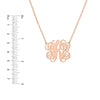 Personalization Small Script Monogram Necklace