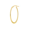 Oval Hoop Earrings
