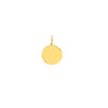 Organic Disk Engravable Charm