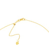 Horn Drop with Diamond Adjustable Choker
