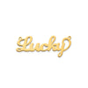 Laser Polished Nameplate with Chain