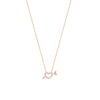 Mini CZ Heart and Arrow Adjustable Necklace