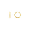 Mini Pentagon Shaped Hoop Earrings