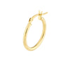 2mm x 20mm Polished Hoop Earrings