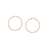 2mm x 30mm Polished Hoop Earrings