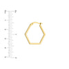 Hexagon Shape Hoops