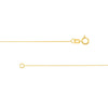 0.55mm Box Chain with Spring Ring