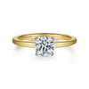14K White-Yellow Gold Hidden Halo Round Diamond Engagement Ring