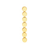 Round Discs Dangle Earrings