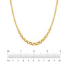 Hollow Graduated Large Rolo Necklace