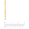 3+1 Hollow Paper Clip Chain with Lobster Lock