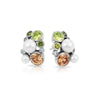 Potpourri Earrings