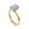 14K White-Yellow Gold Hidden Halo Oval Diamond Engagement Ring