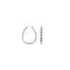 Twist Oval Hoop Earrings