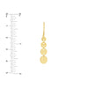 Graduated Disc Dangle Earrings