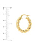 Oval Rope Twist Hoops
