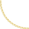 Hollow Rolo Split Chain