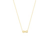 Mini Infinity Adjustable Necklace