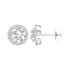 14K 3.25Ct Certified Lab Grown Diamond Earrings ( Igi Certified )