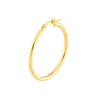 2mm x 30mm Polished Hoop Earrings