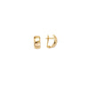 Polished Curve Earrings on Leverback