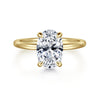 14K Yellow Gold Hidden Halo Oval Diamond Engagement Ring