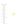 Genuine Turq 10mm Hoop Earrings