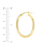 35mm Square Tube D/C Oval Hoop