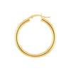 3mm x 30mm Polished Hoop Earrings