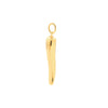 Large Italian Horn Pendant