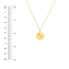 Capricorn Organic Disc Pendant Necklace