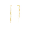 Front and Back Hammered Forzentina Earrings