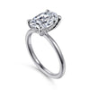 Platinum Hidden Halo Oval Diamond Engagement Ring