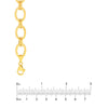 Hollow Oval &amp; Double Link Chain