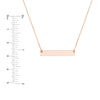 Mini Bar Necklace