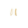 Graduated Oval Climber Earrings
