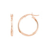 2mm x 20mm Polished Hoop Earrings