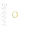 Flat Oval Hoop Earrings