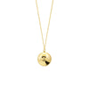 Polished Bombe Circle Necklace