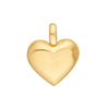 Small Heart Charm