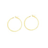Texture Hoop Earrings