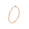 2mm x 30mm Polished Hoop Earrings