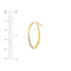 Twisted Oval Sparkle Hoop Earrings