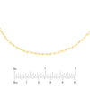 1.95mm Paper Clip Choker Chain