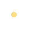 Organic Disk Engravable Charm