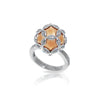 Vienna Ring