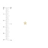 Diamond Star Micro Stud Earrings